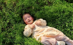 保卫萝卜 挑战40